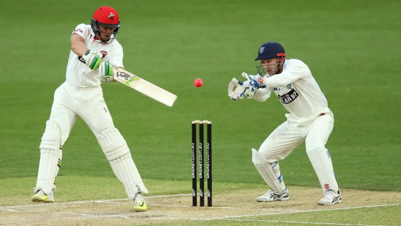 suspended meaning in cricket