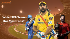 which ipl team has most fans
