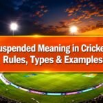 Suspended Meaning in Cricket - Rules, Types & Examples